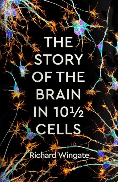 The Story of the Brain in 10¿ Cells