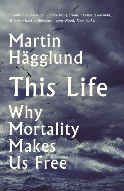 This Life - Why Mortality Makes Us Free