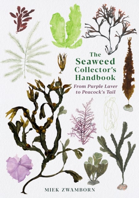 The Seaweed Collector's Handbook - From Purple Laver to Peacock’s Tail