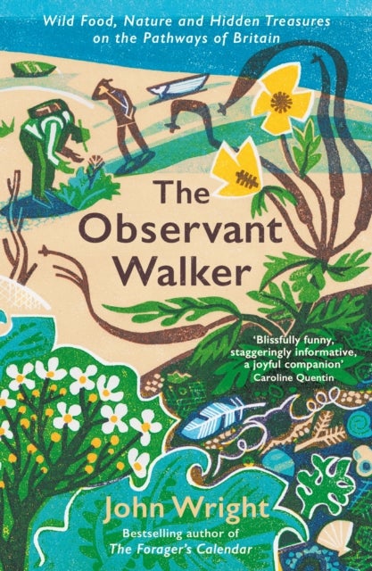 The Observant Walker - Wild Food, Nature and Hidden Treasures on the Pathways of Britain