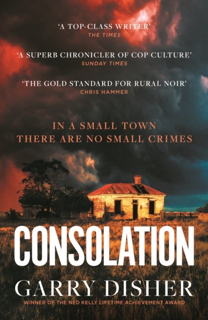 Consolation - Constable Hirsch Mysteries 3