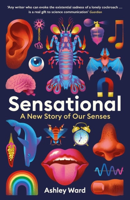 Sensational - A New Story of our Senses
