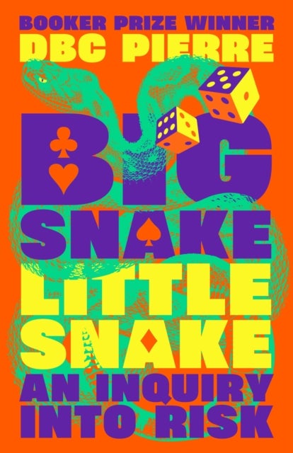 Big Snake Little Snake - An Inquiry into Risk