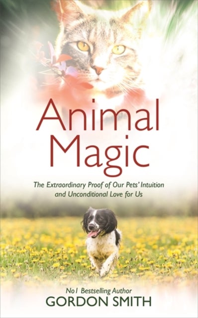 Animal Magic - The Extraordinary Proof of Our Pets’ Intuition and Unconditional Love for Us
