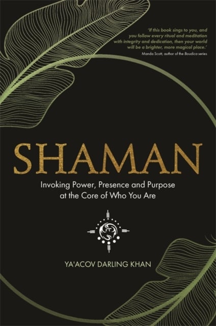 Shaman - Invoking Power, Presence and Purpose at the Core of Who You Are