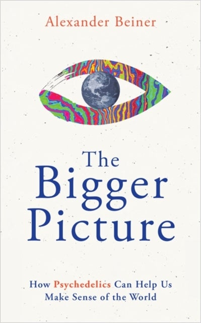 The Bigger Picture - How Psychedelics Can Help Us Make Sense of the World