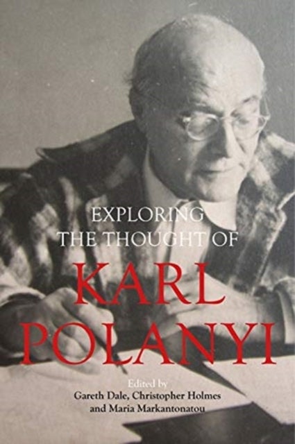 Karl Polanyi's Political and Economic Thought - A Critical Guide