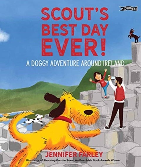 Scout's Best Day Ever! - A Doggy Adventure Around Ireland