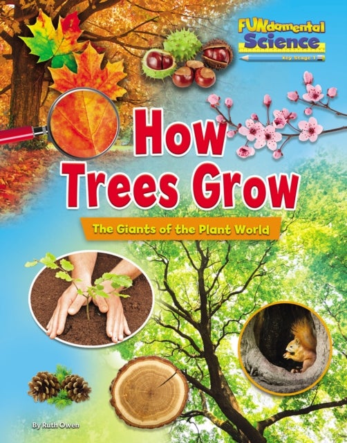 How Trees Grow - The Giants of the Plant World