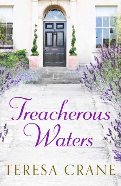 Treacherous Waters - A love story full of twists