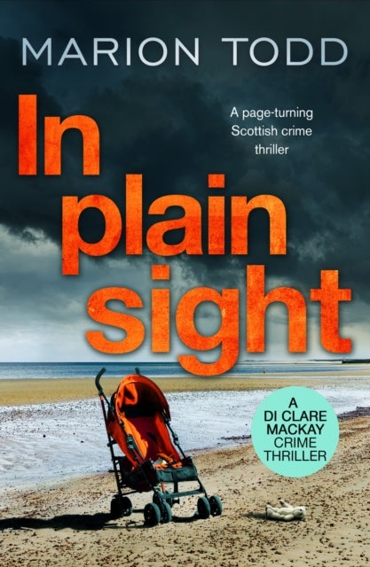 In Plain Sight - A page-turning Scottish crime thriller