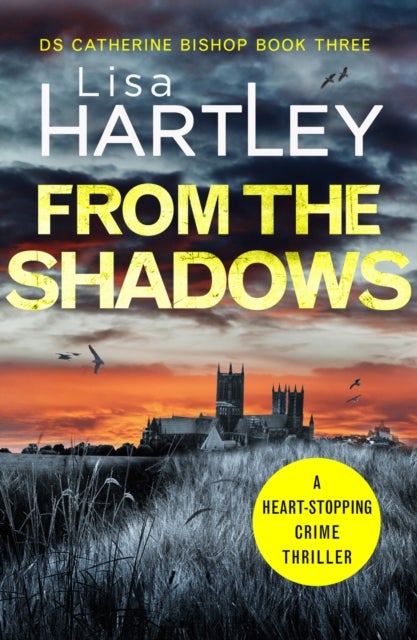 From the Shadows - A heart-stopping crime thriller