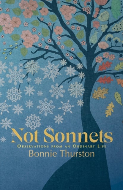 Not Sonnets - Observations from an Ordinary Life