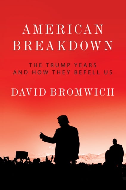American Breakdown - The Trump Years and How They Befell Us