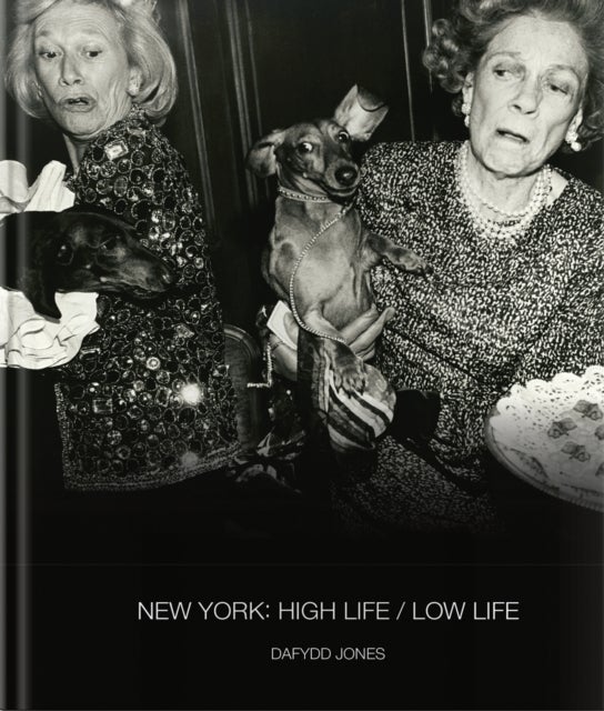 New York: High Life / Low Life - High Life, Low Life