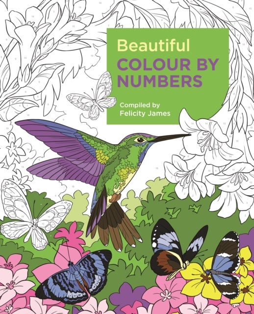 Beautiful Colour by Numbers - Arcturus Colour by Numbers Collection