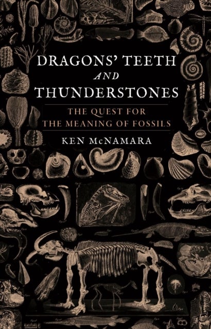 Dragons’ Teeth and Thunderstones - The Quest for the Meaning of Fossils