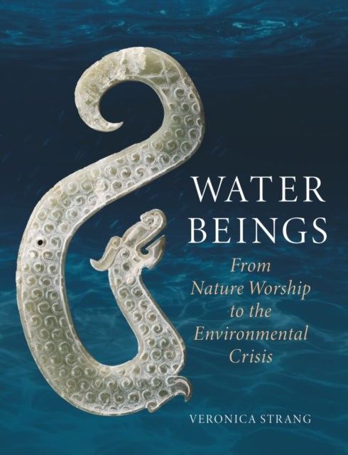Water Beings - From Nature Worship to the Environmental Crisis