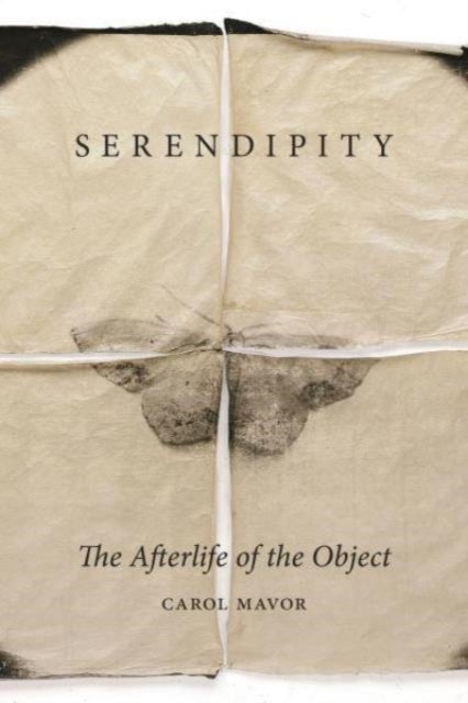 Serendipity - The Afterlife of the Object