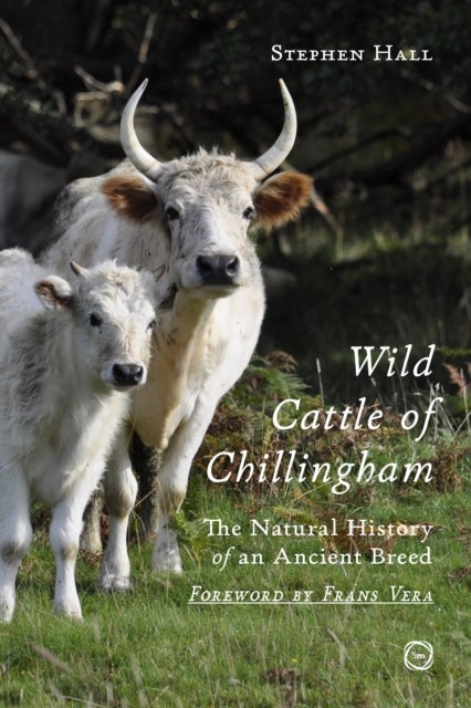 Wild Cattle of Chillingham - The Natural History of an Ancient Breed