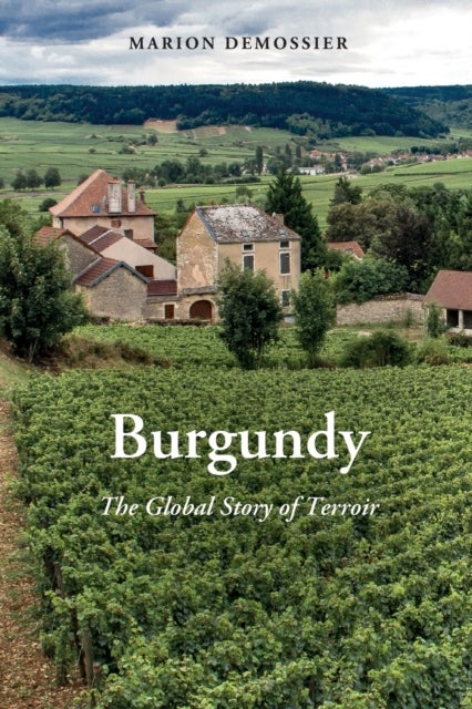 Burgundy - The Global Story of Terroir