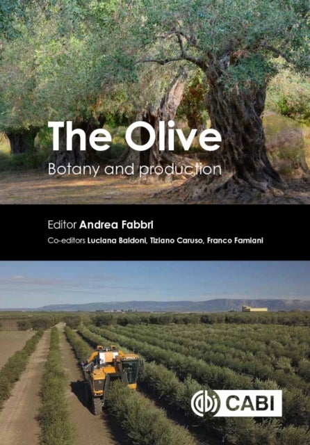 The Olive - Botany and Production