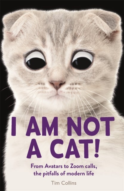 I Am Not a Cat! - From Avatars to Zoom Calls, the Pitfalls of Modern Life
