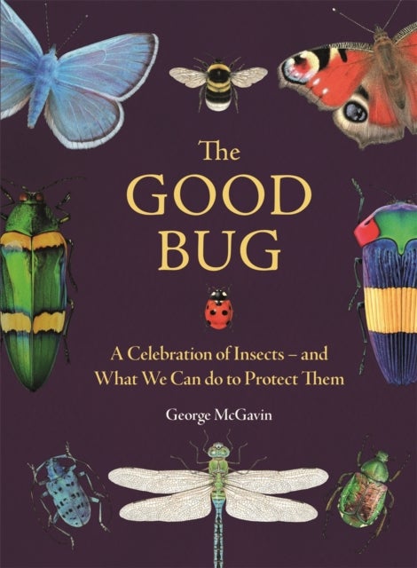 The Good Bug - A Celebration of Insects (and What We Can Do to Protect Them)