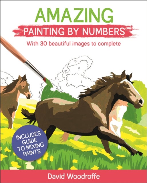 Amazing Painting by Numbers - With 30 Beautiful Images to Complete. Includes Guide to Mixing Paints