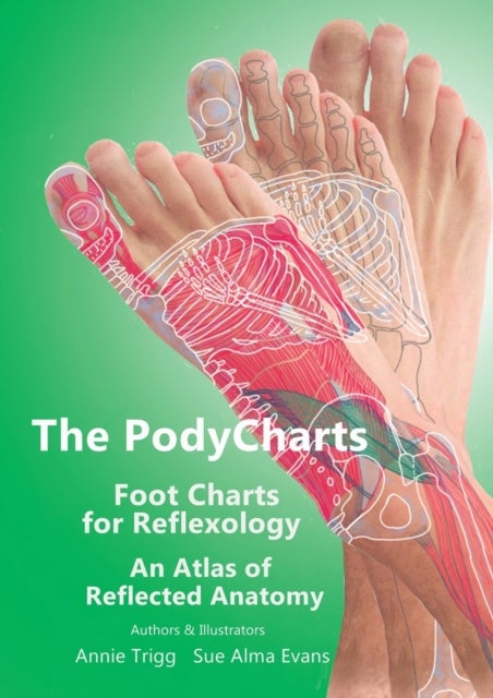 The PodyCharts foot charts for reflexology - An atlas of reflected anatomy