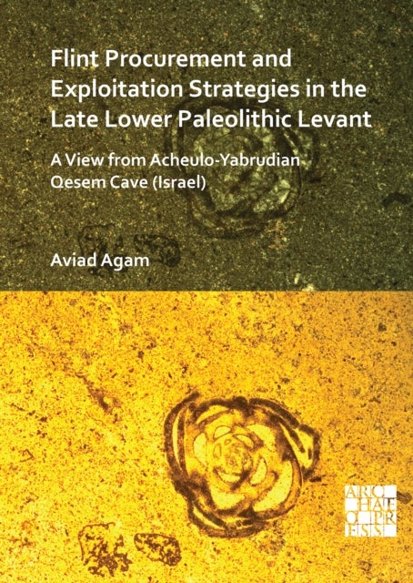 Flint Procurement and Exploitation Strategies in the Late Lower Paleolithic Levant - A View from Acheulo-Yabrudian Qesem Cave (Israel)