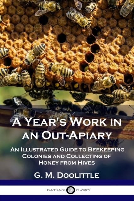 A Year's Work in an Out-Apiary - An Illustrated Guide to Beekeeping Colonies and Collecting of Honey from Hives