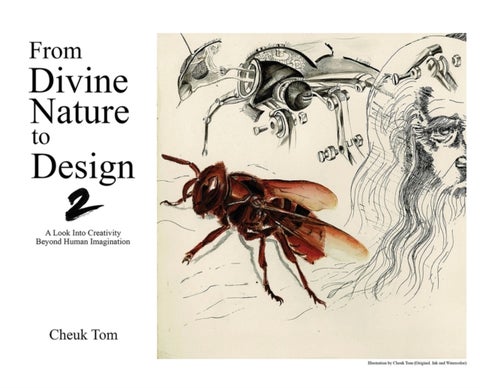From Divine Nature to Design 2 - A Look Into Creativity Beyond Human Imagination