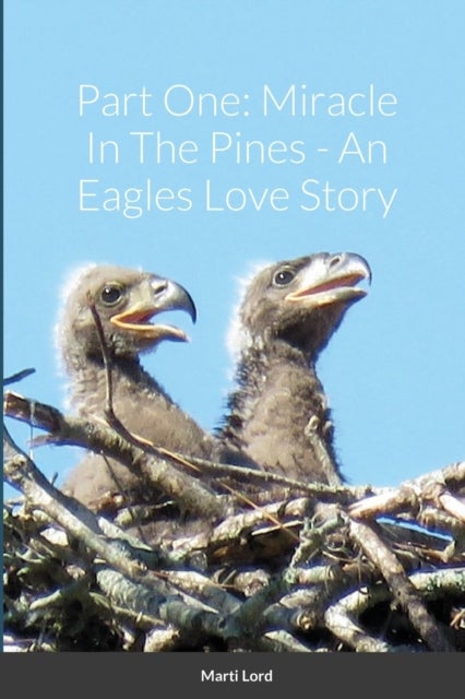 Part One - Miracle In The Pines - An Eagles Love Story
