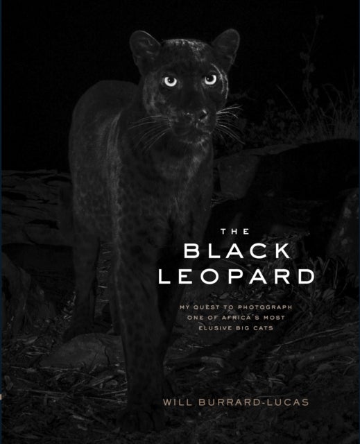 The Black Leopard - My Quest to Photograph One of Africa’s Most Elusive Big Cats