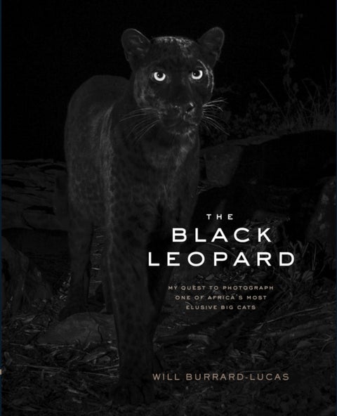 The Black Leopard - My Quest to Photograph One of Africa’s Most Elusive Big Cats