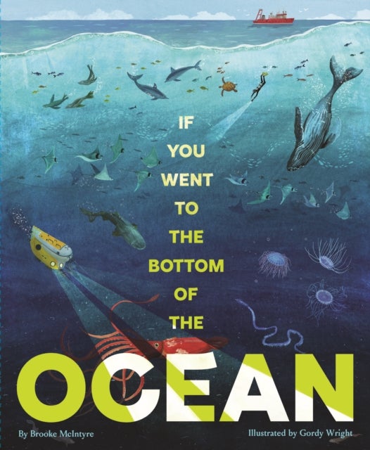 If You Went to the Bottom of the Ocean