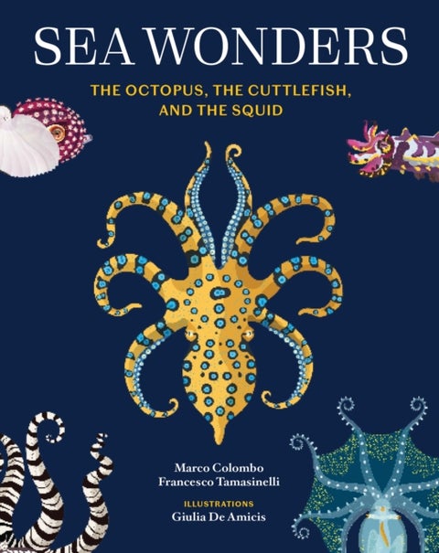 Sea Wonders - The Octopus, the Cuttlefish, and the Squid