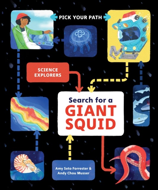 Search for a Giant Squid - Pick Your Path