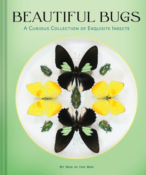Beautiful Bugs - A Curious Collection of Exquisite Insects