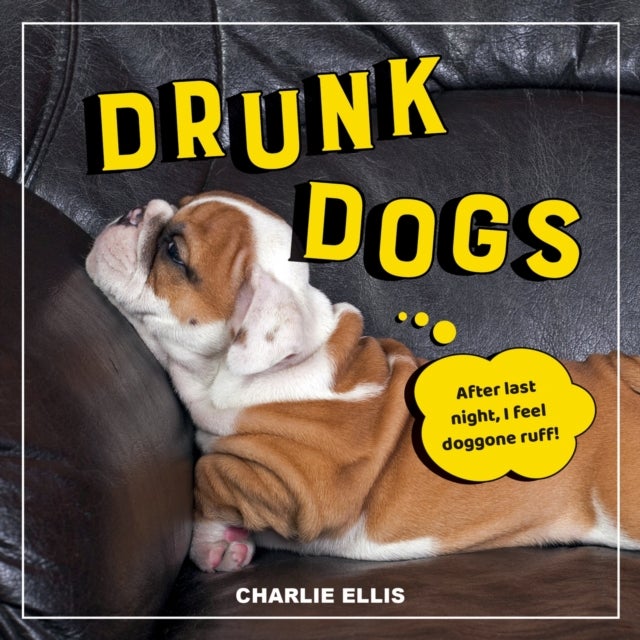 Drunk Dogs - Hilarious Pics of Plastered Pups