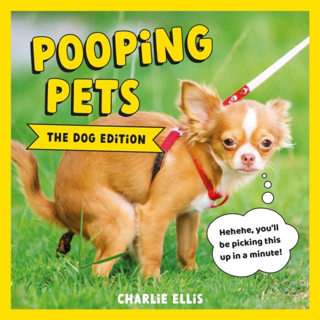 Pooping Pets: The Dog Edition - Hilarious Snaps of Doggos Taking a Dump