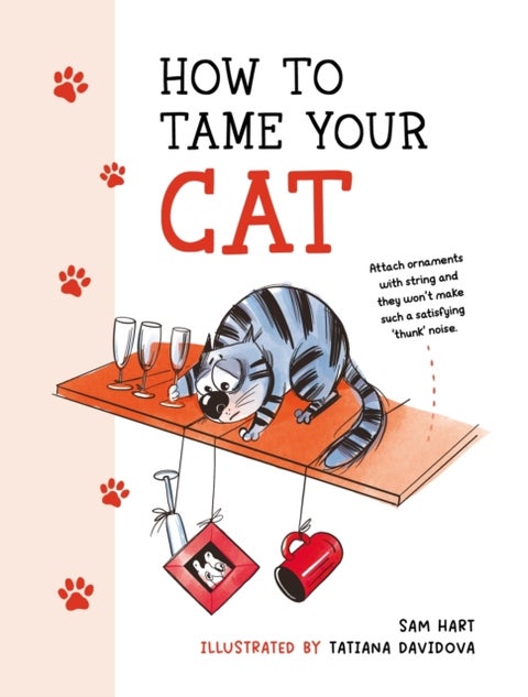 How to Tame Your Cat - Tongue-in-Cheek Advice for Keeping Your Furry Friend Under Control