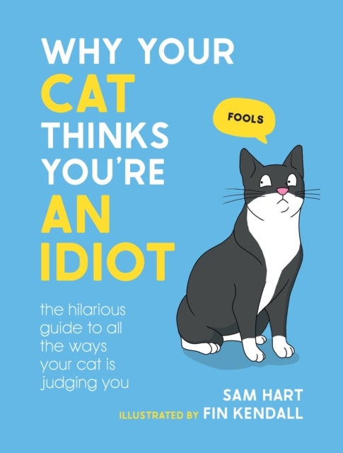 Why Your Cat Thinks You're an Idiot - The Hilarious Guide to All the Ways Your Cat is Judging You