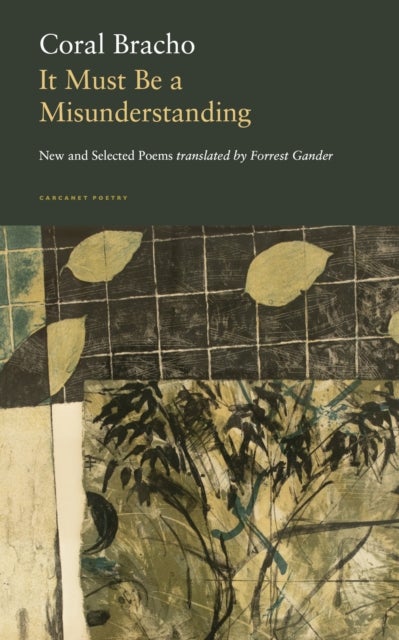 It Must Be a Misunderstanding - New and Selected Poems