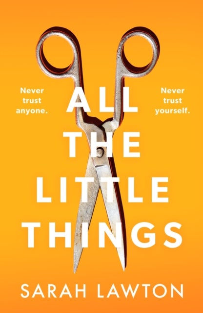 All The Little Things - A tense and gripping thriller with an unforgettable ending