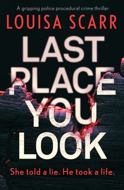 Last Place You Look - A gripping police procedural crime thriller