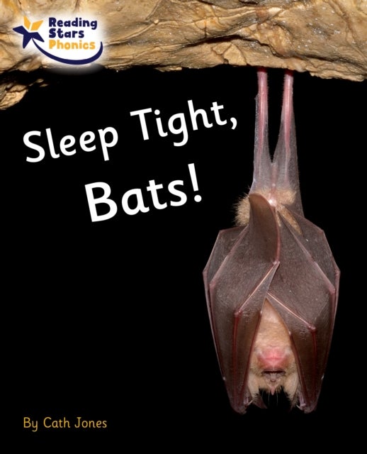 Sleep Tight, Bats! - Phase 4