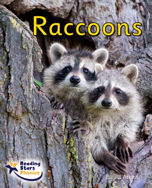 Raccoons - Phase 4