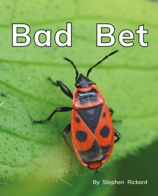 Bad Bet - Phonics Phase 2